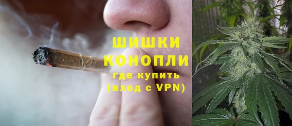 прущие грибы Новокубанск