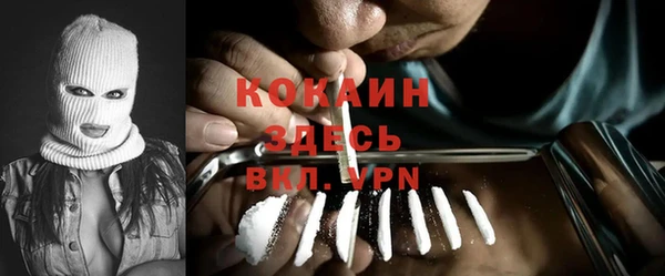 крисы Новодвинск