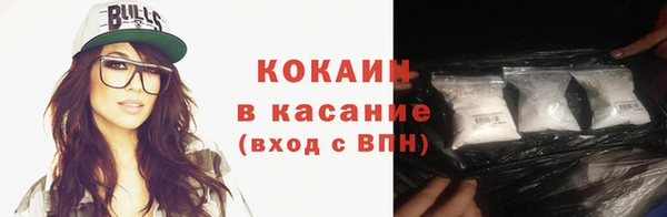 крисы Новодвинск