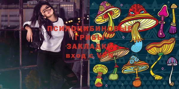 прущие грибы Новокубанск