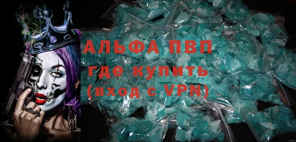 крисы Новодвинск