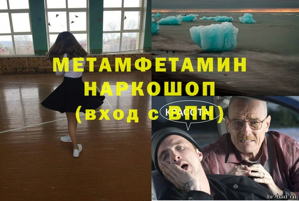 прущие грибы Новокубанск