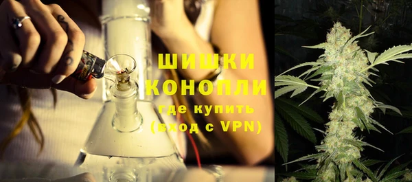 дмт Новозыбков