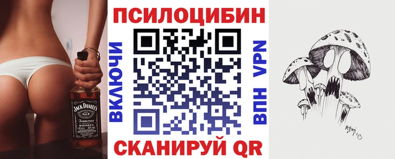 Купить закладки  Черемхово  Галлюциногенные грибы Magic Shrooms 